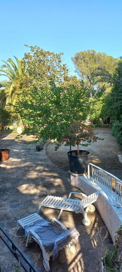 Appartement Et Sa Grande Terrasse En Rez De Jardin Saint Aygulf Exterior foto